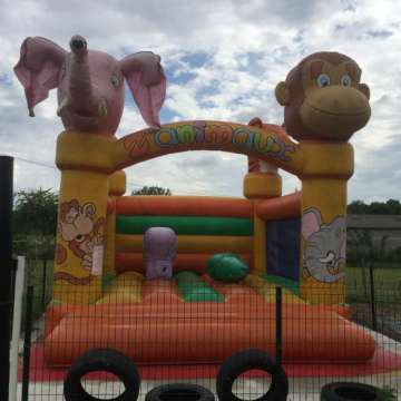 Structure Gonflable - Zanimaux 